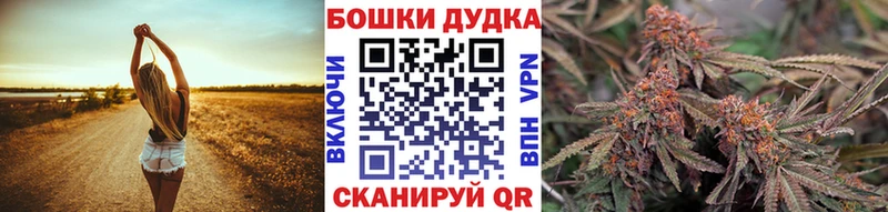 Шишки марихуана планчик  Плёс 